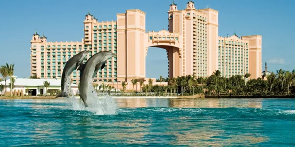ATLANTIS_Dolphin-Cay_1180_high.png ATLANTIS_Dolphin-Cay_1180_high.png