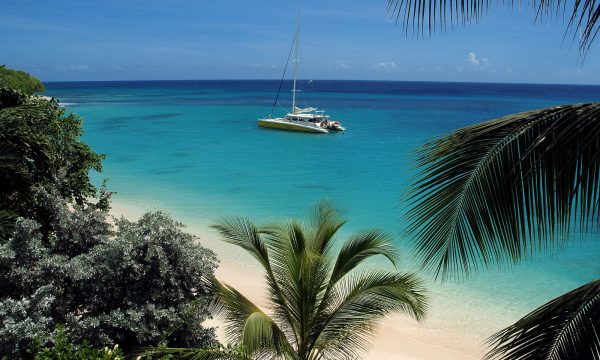 CATAMARAN-in-COVE-1-copy CATAMARAN-in-COVE-1-copy