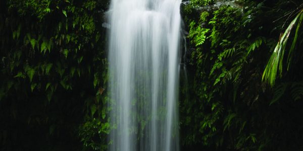 El-Yunque El-Yunque