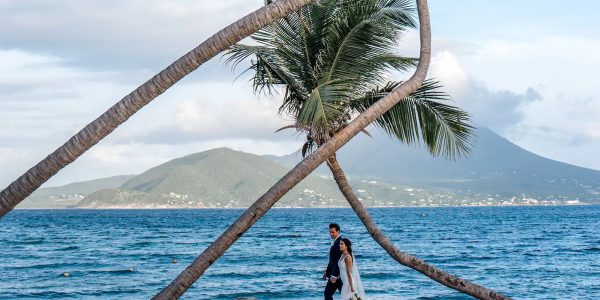 Park-Hyatt-St-Kitts-P264-Wedding-Couple-Palm-Trees.4×3 Park-Hyatt-St-Kitts-P264-Wedding-Couple-Palm-Trees.4x3