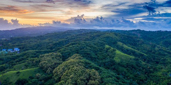 Rainforest-panorama-from-Vlogger-Benny Rainforest-panorama-from-Vlogger-Benny
