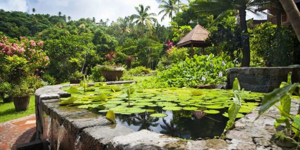 villa-c-pond-hirez_1 image credit: Ladera Resort in Saint Lucia